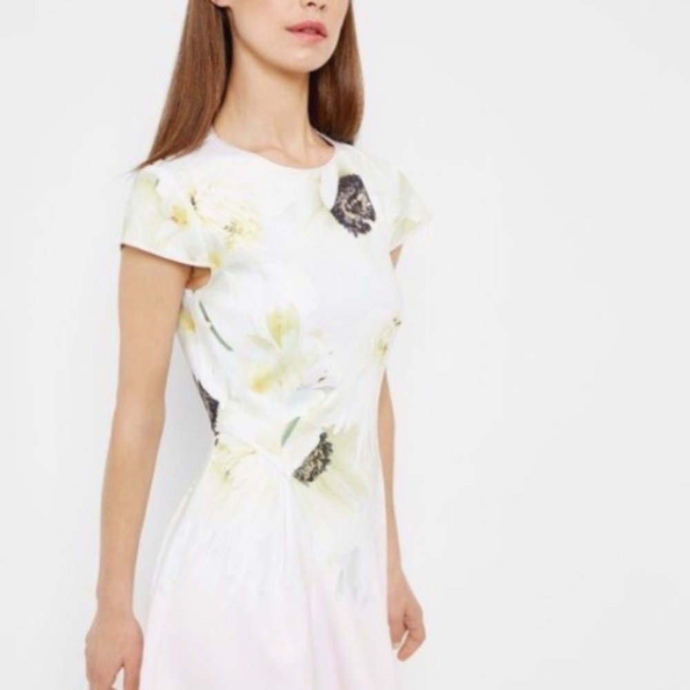 Ted Baker Skater Petala Floral Dress Size 0